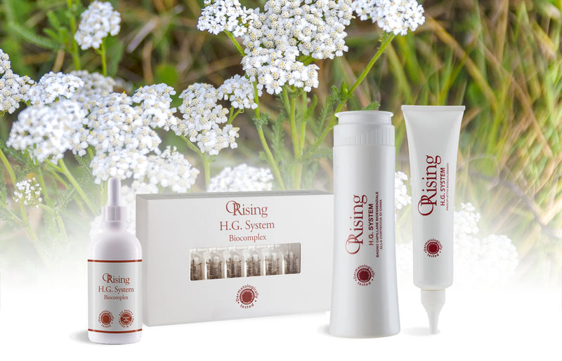 Haarwachstum in Deutschland